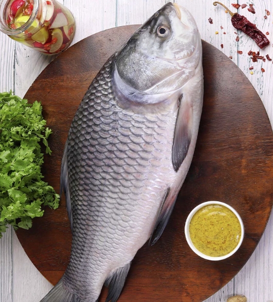 Katla Fish